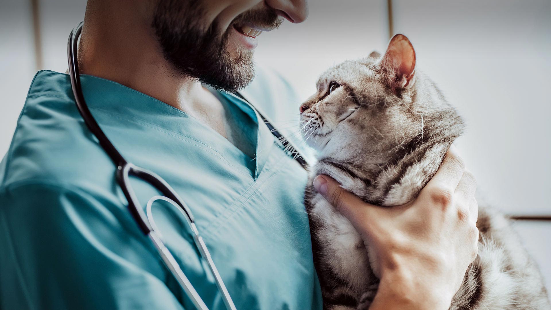 Yenişehir Veteriner